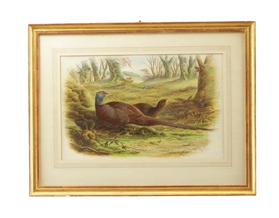 Lot 753 - HARRY BRIGHT (BRITISH 1846 - 1895) A LATE 19TH CENTURY WATERCOLOUR DEPICTING A WOODLAND SCENE