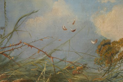 Lot 722 - GEORGE ARMFIELD (BRITISH 1808-1893) A 19TH CENTURY OIL ON CANVAS