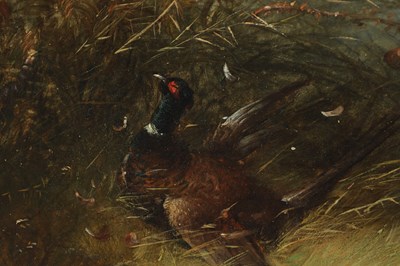 Lot 722 - GEORGE ARMFIELD (BRITISH 1808-1893) A 19TH CENTURY OIL ON CANVAS