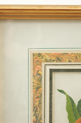 Lot 566 - TWO LATE 19TH CENTURY BOTANICAL PRINTS