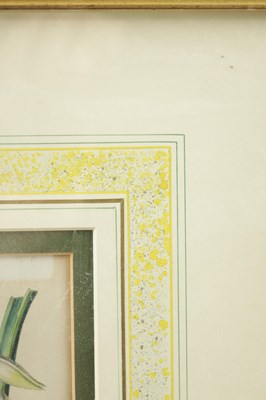 Lot 566 - TWO LATE 19TH CENTURY BOTANICAL PRINTS
