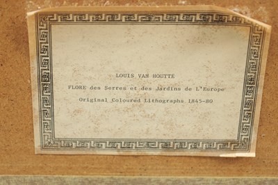 Lot 566 - TWO LATE 19TH CENTURY BOTANICAL PRINTS