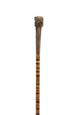 Lot 844 - A 19TH CENTURY SEGMENTED HORN CARVED DOG'S HEAD WALKING STICK