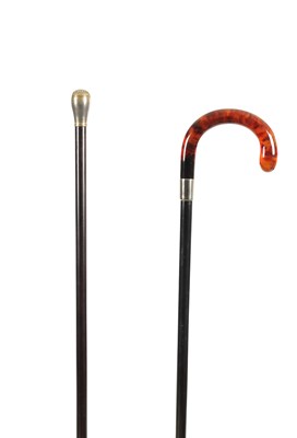 Lot 875 - TWO EARLY 20TH CENTURY WALKING CANES