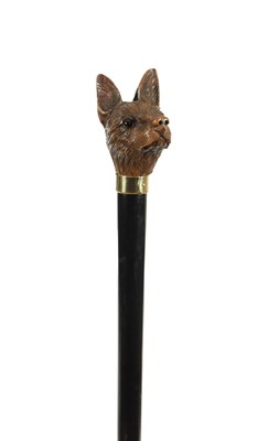Lot 853 - A LATE 19TH CENTURY WELL CARVED BLACK FOREST DOG HEAD HANDLED WALKING CANE