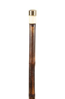 Lot 847 - A VERY RARE 19TH CENTURY TELESCOPE CANE