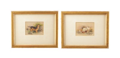 Lot 664 - CHARLES EDWARD BRITTAN (1837-1888). A PAIR OF 19TH CENTURY WATERCOLOURS DEPICTING SPORTING DOGS