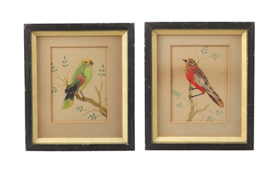 Lot 730 - A PAIR OF VICTORIAN FEATHER PICTURES