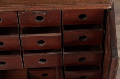 Lot 1517 - A GEORGE II MAHOGANY COLLECTORS CABINET WITH TWIN MIRRORED DOORS