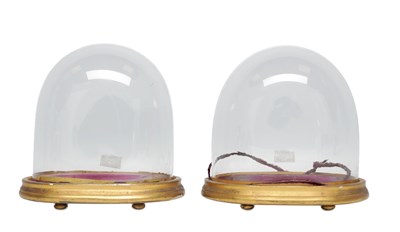 Lot 1151 - A PAIR OF 19TH CENTURY GLASS DISPLAY DOMES ON GILTWOOD STANDS