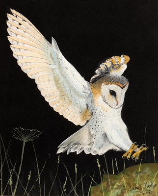 Lot JAMIE MEDLIN (BRITISH, B. 1970) A WATERCOLOUR OF A BARN OWL DATED 1987