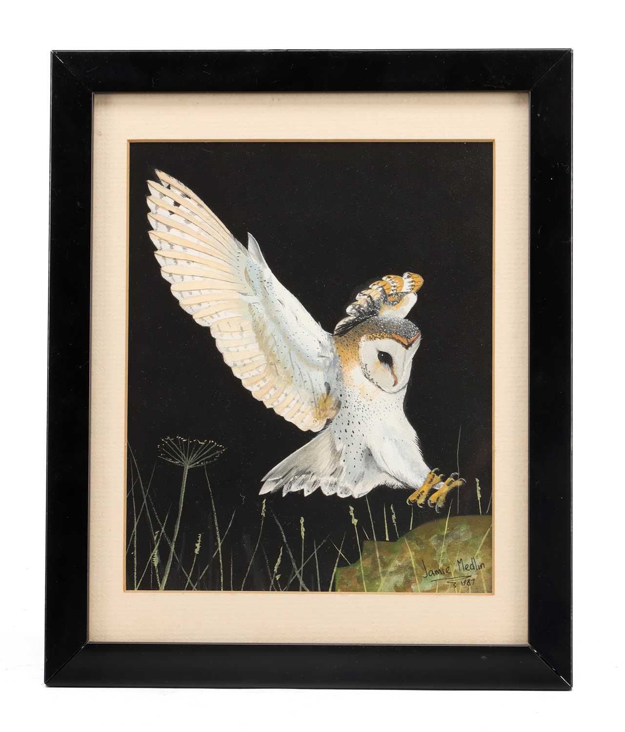 Lot JAMIE MEDLIN (BRITISH, B. 1970) A WATERCOLOUR OF A BARN OWL DATED 1987