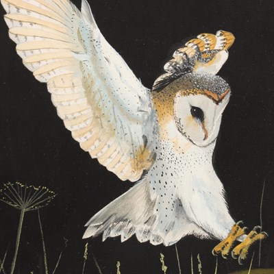 Lot JAMIE MEDLIN (BRITISH, B. 1970) A WATERCOLOUR OF A BARN OWL DATED 1987