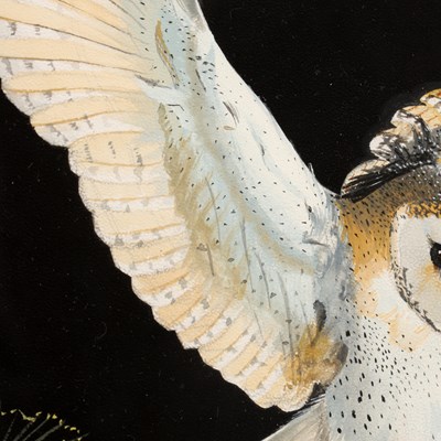 Lot JAMIE MEDLIN (BRITISH, B. 1970) A WATERCOLOUR OF A BARN OWL DATED 1987