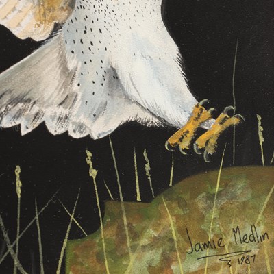 Lot JAMIE MEDLIN (BRITISH, B. 1970) A WATERCOLOUR OF A BARN OWL DATED 1987