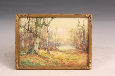 Lot 278 - PARKER HAGARTY  RCA - WATERCOLOUR
 Woodland...