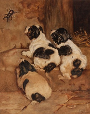 Lot 279 - ARTHUR WARDLE 1864-1949 WATERCOLOUR 

Puppies...