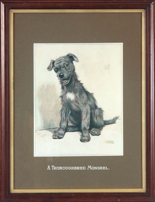 Lot 391 - A LATE 19TH CENTURY PRINT OF A SEATED DOG BY...