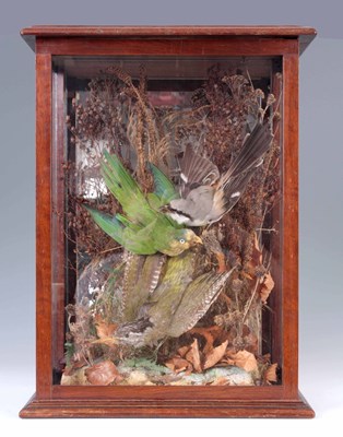 Lot 495 - A LATE 19th CENTURY CASED TAXIDERMY DISPLAY of...